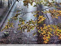 autunno 2011 (12)